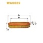 WA6009 