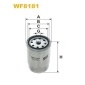 WF8181 