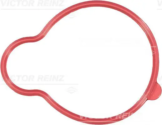71-35728-00 REINZ Прокладка коллектора Fiat.