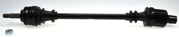 304364 