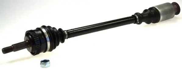 304006 