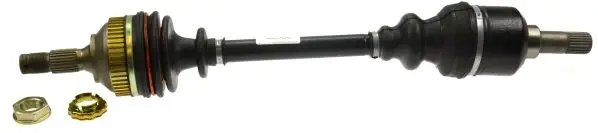 302884 
