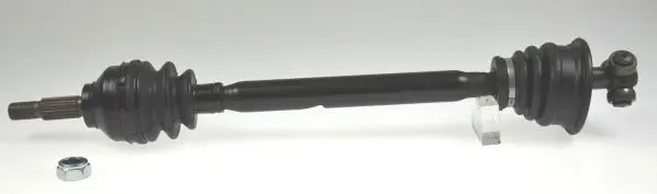304511 