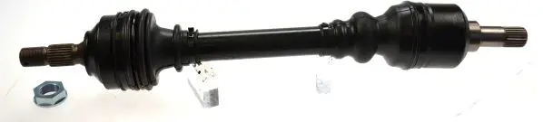 303252 