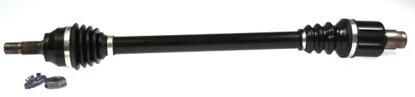 304595 