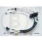 B CAR 001FT816