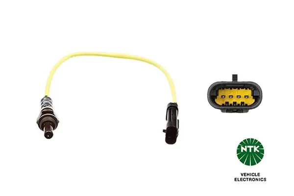  Oxygen Sensor
