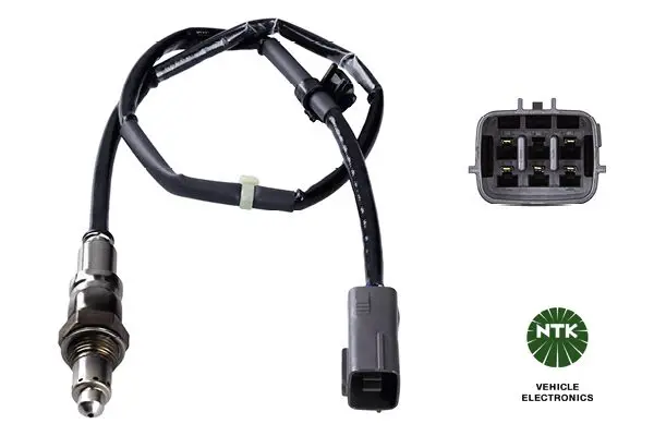  Oxygen Sensor