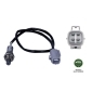 95854 Oxygen Sensor