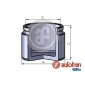 AUTOFREN SEINSA D025239