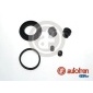 AUTOFREN SEINSA D41920
