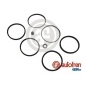 AUTOFREN SEINSA D4079