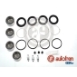 D41181C Autofren Seinsa Ремкомплект