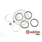 D4362 AUTOFREN SEINSA Ремкомплект