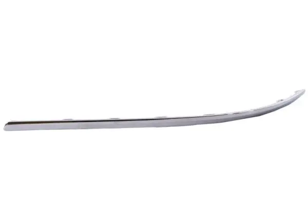 6502-07-9540975P Trim/Protection Strip, bumper
