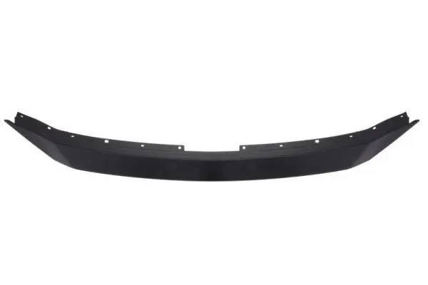 BLIC 5513003496920P Cover, radiator grille
