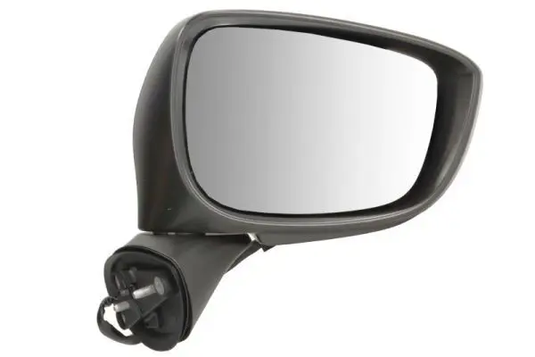 BLIC 5402141905317P Exterior Mirror