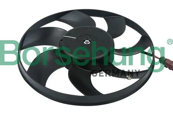 BORSEHUNG B11497 двигатель вентилятора