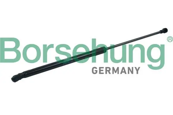 BORSEHUNG B14194 Газовая пружина, крышка