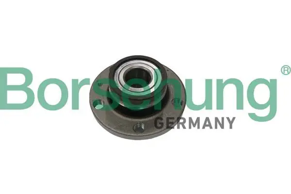 BORSEHUNG B11289 ступица задняя с подшипником