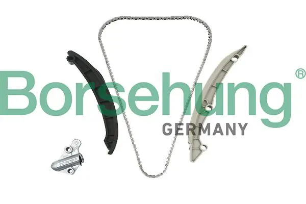 BORSEHUNG B19257 цепь грм (комплект)