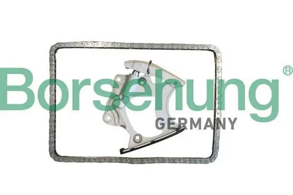 BORSEHUNG B10250 Комплект цепи ГРМ