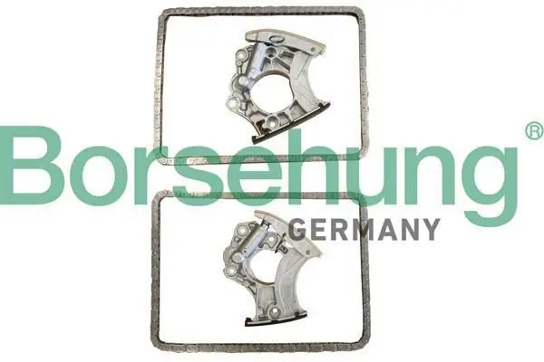 BORSEHUNG B10243 Комплект цепи ГРМ