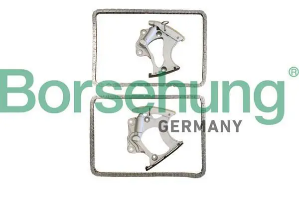 BORSEHUNG B10248 Комплект цепи ГРМ