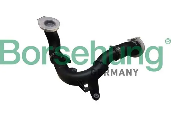 BORSEHUNG B12347 Напорный шланг в сборе