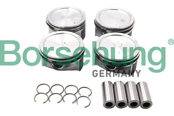 BORSEHUNG B13577 Поршни палец + кольца