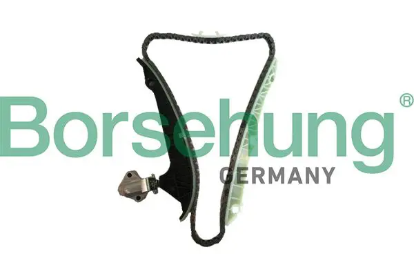 BORSEHUNG B18778 цепь грм (комплект) (CDAA