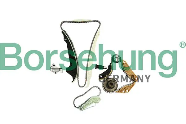 BORSEHUNG B19254 цепь грм (комплект)