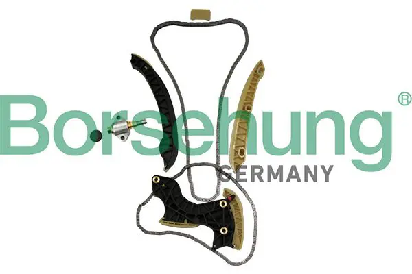 BORSEHUNG B19296 цепь грм (комплект)
