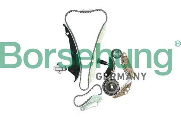 BORSEHUNG B16298 цепь грм (комплект)