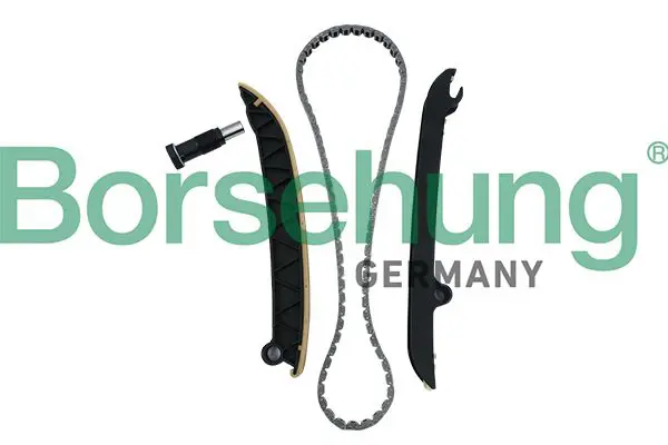 BORSEHUNG B18296 РЕМКОМПЛЕКТ ЦЕПИ ГРМ