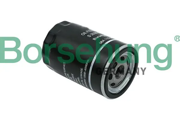BORSEHUNG B18018 Фильтр масляный
