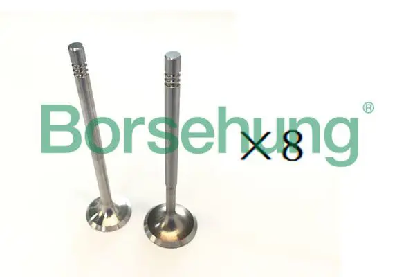 BORSEHUNG B18189 Клапан