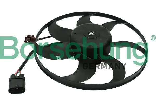 BORSEHUNG B11496 двигатель вентилятора
