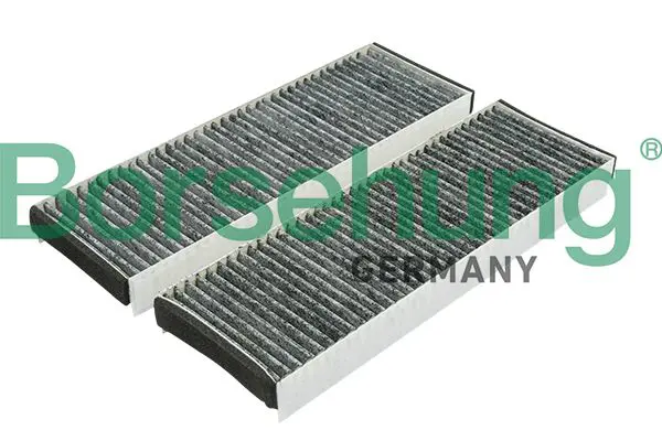 BORSEHUNG B12802 Фильтр, воздух во внутренном