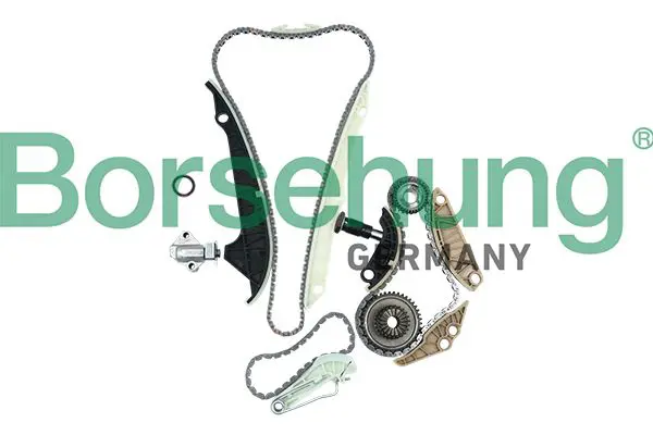 BORSEHUNG B19209 цепь грм (комплект)
