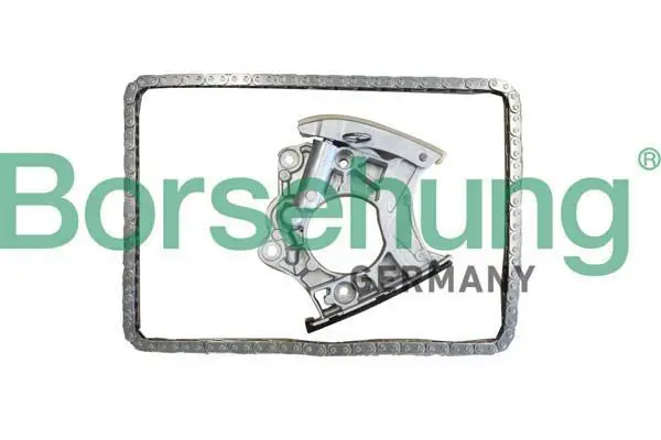 BORSEHUNG B10244 Комплект цепи ГРМ