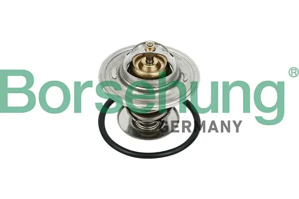 BORSEHUNG B18231 Термостат, охлаждающая
