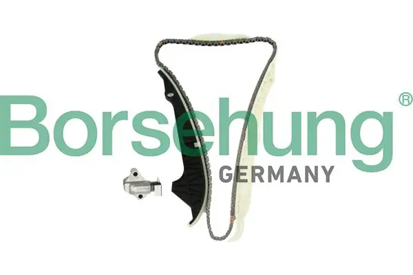 BORSEHUNG B10203 цепь грм (комплект)