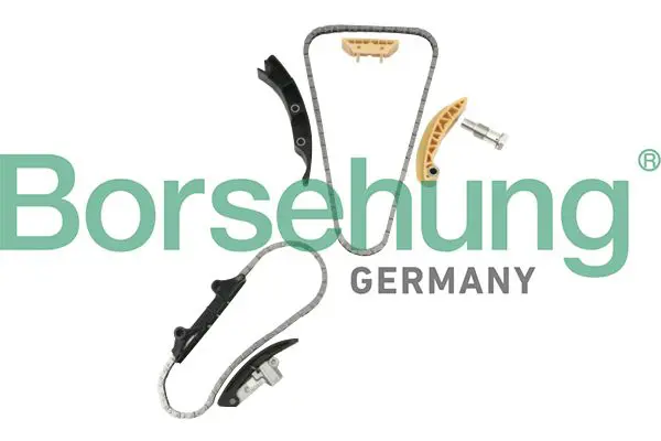 BORSEHUNG B10207 цепь грм (комплект)