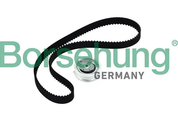 BORSEHUNG B10219 Ремкомплект привода ГРМ