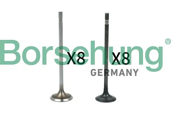 BORSEHUNG B18631 Клапан VW Golf,Polo AUDI A3,A4