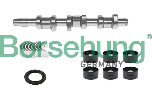 BORSEHUNG B18665 Ремкомплект распределительного