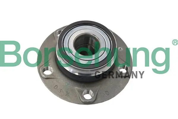 BORSEHUNG B19119 Ступица