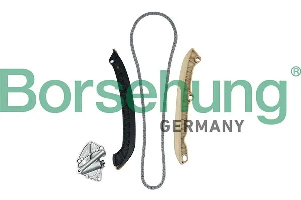 BORSEHUNG B19255 Ремкомплект цепи ГРМ (4