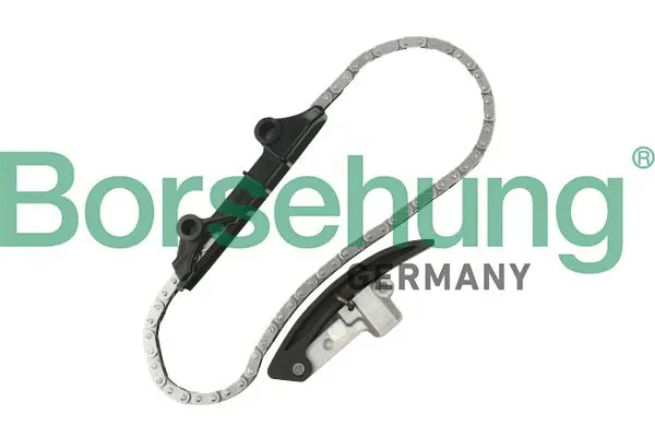 BORSEHUNG B10209 цепь грм (комплект)